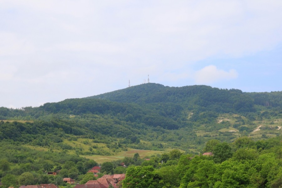 مروج عجلون الخضراء - Green meadows of Ajloun